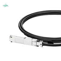 YIZHI Yüksek Kaliteli 400G OSFP - OSFP DAC 1M 1.5M 2M 2.5M 3M Pasif Doğrudan Bağlantı Kablosu