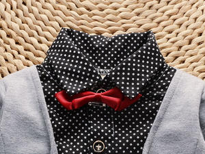 Ropa Infantil al por Mayor a Bajo Precio, Conjuntos de Otoño de 3 Piezas para Niños, Estilo Caballero - Product Image 2