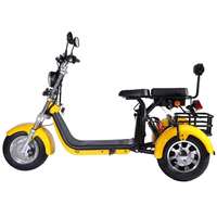 Tricycle électrique de shopping à 3 roues 2026 avec batterie au lithium 2000W, assistance au pédalage, tricycle cargo pour personnes handicapées, tricycle 3000W