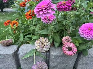 Không đào vườn viền viền khối linh hoạt cho giường hoa, đường lái xe, sân - Product Image 5