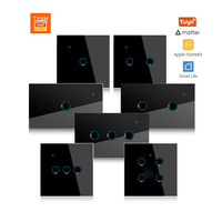 TYSH-Interrupteur Concave de Luxe pour Maison Intelligente, Télécommande Murale en Aluminium ABS, Verre Fonctionne avec Application Google Alexa Smart Life Zigbee