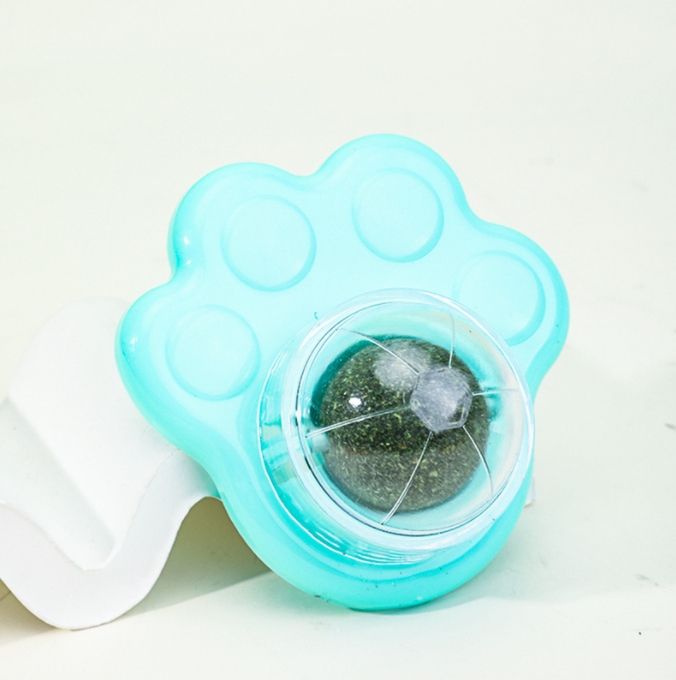Cat paw-blue