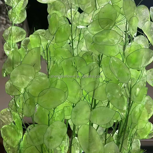 Steli di Lunaria Annua Essiccati e Conservati in Beige, Bianco, Verde, Rosa, <span class=keywords><strong>Viola</strong></span> e Argento per Decorazioni Casa, Feste, San Valentino, Festa della Mamma, Laurea - Product Image 3