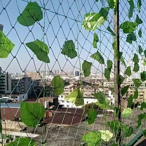 Nhựa Polypropylene Trellis Hỗ Trợ Nhà Máy Leo Núi Net Rau Hỗ Trợ Lưới Vườn Net Mềm Trellis Lưới Cho Nhà Máy - Product Image 2