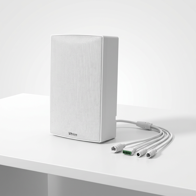 Thinuna IP-25WS-BS IP Public Address System Network Master Speaker ABS Wall-mounted Active Speaker with 2*30W Digital Amplifier