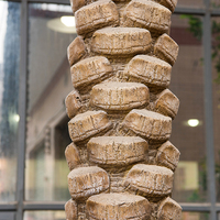 Palmier artificiel à gros coffre, 7.5M de hauteur, 1 pièce, décoration décorative de jardin vert d'extérieur