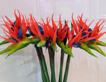 บิ๊กเรด