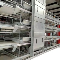 Nouvelle cage à poulets empilable en acier galvanisé à chaud de type H à 4 niveaux, entièrement automatique et personnalisable, durable, durée de vie de 20 à 25 ans