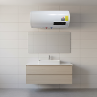 Interface conviviale, haute qualité, fonctionnalités de contrôle à distance automatiques et fluides, chauffe-eau solaire électrique 80L en acier inoxydable