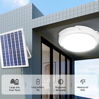 Lámpara de Techo de Alta Potencia para Casa o Restaurante, Iluminación Interior y Exterior, Lámpara de Techo Solar Moderna/Lámparas de Techo LED