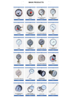 Commercial Pressure Gauge Brass Threaded Fitting Stainless Steel Case Pressure Gauge for Water Gas Oil Pipeline