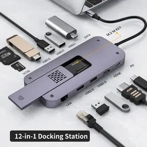 New Design M.2 SSD Enclosure Function SD TF Card PD 100W 4K HDMI-Port 1000M Lan 12 in 1 Type-C Hub Docking Station Supplier