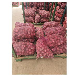 Cebolla Roja China fresca al por mayor Precio barato Importación Exportación Cebolla orgánica fresca y de calidad - Product Image 1