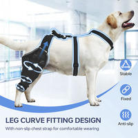 Attelle de genou pour chien avec pack de gel chaud/froid réfléchissant et respirant pour les douleurs articulaires aiguës et les blessures de la LCA chez les chiens de taille moyenne/grande