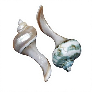 Vietnam Natural Mother of Pearl Shell Chopstick Stand for <b>Japanese</b> Dining Seafood Restaurants Beach Weddings <b>BBQ</b> and Gifts - Product Image 2