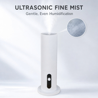 Humidificateur d'air ultrasonique à brume froide électrique de 5 litres avec faible niveau sonore, garantie d'un an pour une utilisation domestique et au bureau