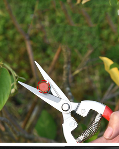 Ciseaux de jardinage manuels multifonctionnels DaringFish en acier inoxydable avec poignée en plastique pour la taille des raisins, fabrication OEM industrielle - Product Image 4