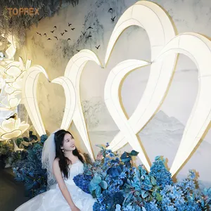 Toprex 2024新设计浪漫大发光二极管爱情背景其他婚礼灯派对照明舞台照明婚礼中心