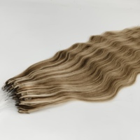 Extensions de cheveux H6 Nano Feathers en gros directement de l'usine, tissage naturel Remy avec pointe en plumes pour salons