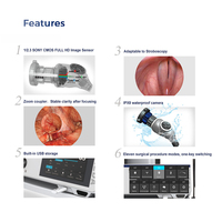Caméra endoscopique Full HD IKEDA YKD-9102 pour ORL et stroboscopie