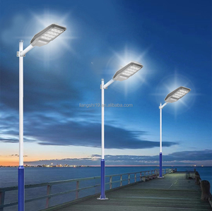 Tích hợp cảm biến chuyển động ngoài trời Tuổi thọ dài 30W <span class=keywords><strong>40W</strong></span> 50W 60W 80W 100W đèn đường ngoài trời không thấm nước Đèn năng lượng mặt trời - Product Image 4