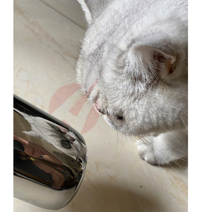 Pintura en Polvo con <span class=keywords><strong>Efecto</strong></span> Espejo, Recubrimiento en Polvo con <span class=keywords><strong>Efecto</strong></span> Súper <span class=keywords><strong>Cromo</strong></span> - Product Image 6