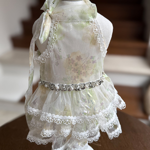 Envío Rápido de Fábrica: Vestidos de Verano de Diseño Suave y Delicado para Perros <span class=keywords><strong>Schnauzer</strong></span> Miniatura, Ideales para Bodas, Fiestas y Festivales de Cumpleaños de Mascotas - Product Image 3