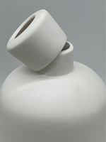 Diffuseur de chambre Écologique Céramique Reed Diffuseur Bouteille Porcelaine Aromatique Reed Agrumes Parfum Pot Recharge Conteneur Décor À La Maison