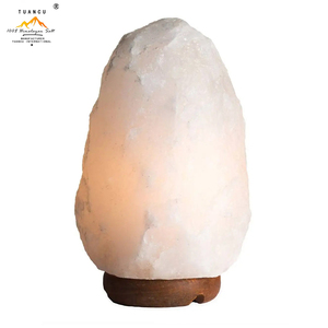 Aus gezeichnete Qualität natürliche weiße Himalaya-Salz lampen Hand geschnitzte Salz lampen für Büro & Zuhause - Product Image 1