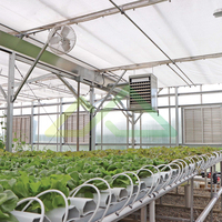 Kit de serre hydroponique commerciale avec système hydroponique NFT et équipement d'irrigation hydroponique