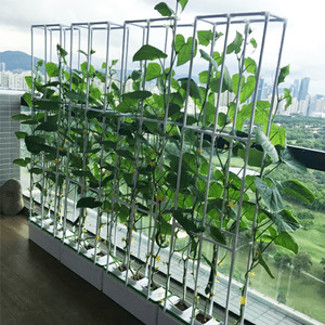 Máquina de Cultivo Hidropónico para Balcón, Cultivo sin Suelo de Frutas y Verduras, Ideal para Tomates y Pepinos, con Sistema de Ensetillado, Éxito de Ventas Transfronterizo - Product Image 3