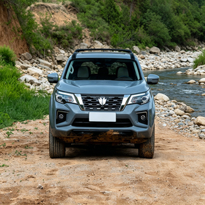 Vendita all'Ingrosso di SUV a Benzina Paladin 4x4 2.0T, Auto di Medie Dimensioni ad Alta Potenza - Product Image 2