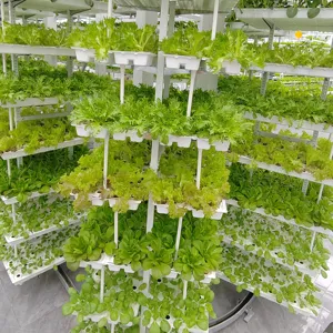 垂直养殖悬挂式植物工厂水培智能养殖
