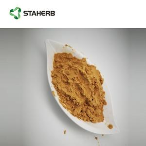 สารสกัดจากโรสแมรี่สารสกัดจากเลมอนบาล์ม rosminic Acid - Product Image 2