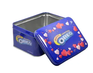 High Quality Food Grade Big Metal Cans With Lock For Albumen Powder Rectangle Pet Hinged Tin Boxes