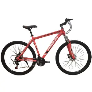 Fahrrad / Mtb Carbonrahmen 29 Zoll Carbonfaser Mountainbike / OEM individuelles 26'' 27,5'' 29'' Carbon-Mountainbike