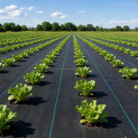Toile de paillage en polypropylène écologique imprimée sur mesure pour l'agriculture, les vignobles, les jardins de gravier et les allées de culture