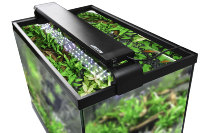 LEECOM – Lampe LED pour aquarium en métal, 25W, haute transmission lumineuse, écologique, étanche, éclairage d'aquarium, vente en gros usine