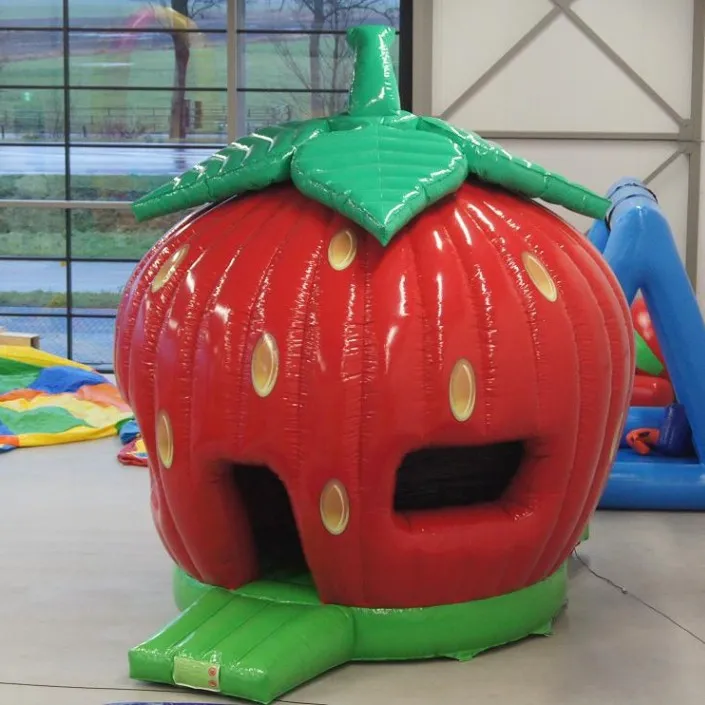 Newly Design Inflatable Strawberry Bouncer,Inflatable Bounce House,inflatable Strawberry Jumping Castle