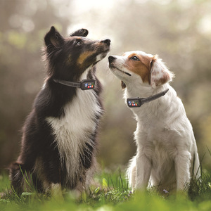 2er-Pack Automatisches <span class=keywords><strong>Anti</strong></span>-Bell-Halsband 4 Trainingsmodi IP67 Wasserdichtes Hunde-Erziehungshalsband mit TFT-Farbbildschirm Bellzähler - Product Image 2