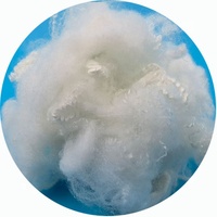 Fibre de rembourrage creuse en polyester, prix de la fibre de polyester creuse vierge