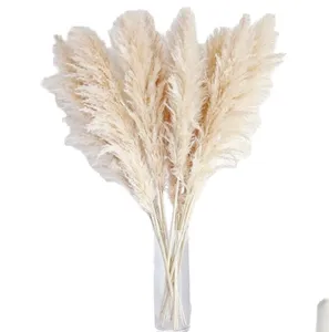 Flores Secas Pu Wei con Pelaje Gris, Cañas Grandes, Decoración de Boda Pu Wei, Estilo Nórdico, Pequeñas Cañas de Flores Secas - Product Image 5