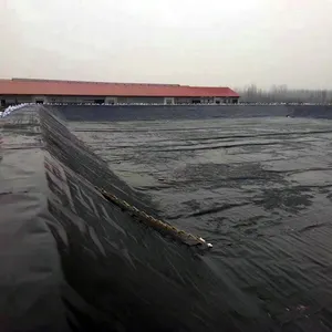 Waterproof Lining HDPE Geomembrane 0.5mm 0.75mm Pond Liner Landfill Project And Fishery Fish And Shrimp Farming