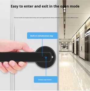 Graffiti Im Lặng Cửa Gỗ Văn Phòng & Căn Hộ Một Tay Mở Kẽm Hợp Kim Key Cho Tuya Ứng Dụng & Vân Tay Mật Khẩu Khóa Đám Mây - Product Image 4