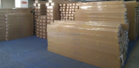 Écran de projection portable électrique OHYES à tension automatique pour projecteur laser, 100 pouces, 16:9, sur pied, ultra courte focale, angle de vision de 170°