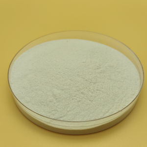 Heetverkopende chitosan met hoge dichtheid tegen fabrieks prijs - Product Image 3