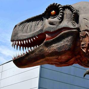 Pour les grands modèles de dinosaures animatroniques T-Rex Jurassic World grandeur nature de l'usine de dinosaures pour centre commercial Public et Playhouse - Product Image 3