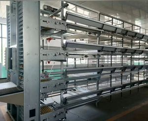 Yeni otomatik kümes hayvanları tarım ekipmanı H çerçeve tavuk pil kafesleri yumurta tabakası yumurta toplama sistemi sıcak daldırma galvanizli 304 - Product Image 2