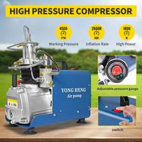 Compresseur d'air électrique YONGHENG pour plongée sous-marine et paintball, 110V/220V, arrêt automatique, 4500psi/300bar/30mpa, vente en gros OEM/ODM
