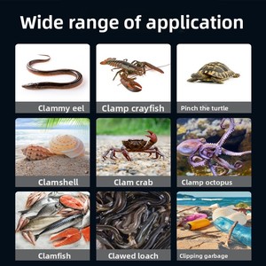 <span class=keywords><strong>Pince</strong></span> à anguilles en acier inoxydable, pour attraper loches et crabes, poignée antidérapante, outil de pêche multifonctionnel pour la pêche en rivière - Product Image 2